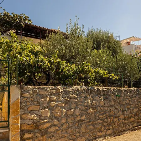 Vera Trogir